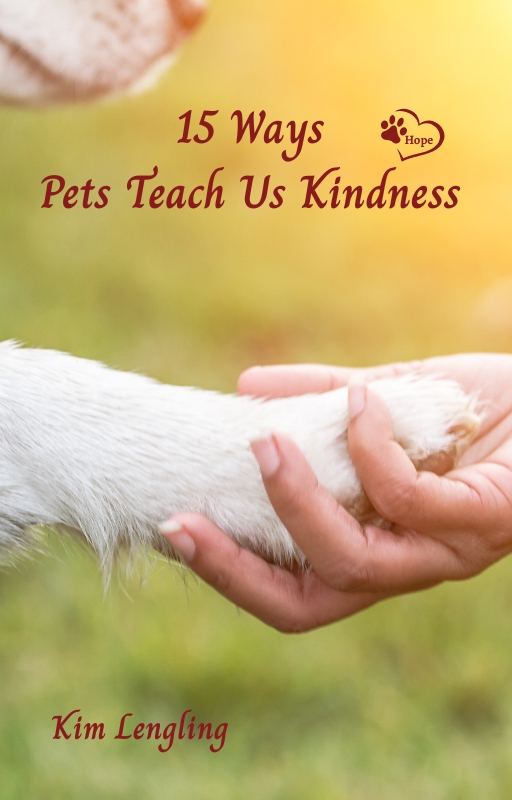 15 Ways Pets Teach